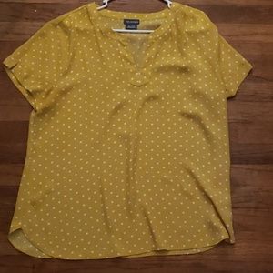 VanHuesen Blouse
